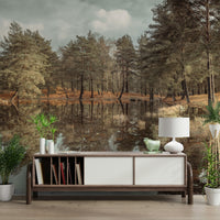 artistic reflective water scene

