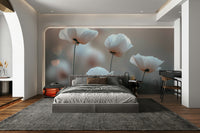 beautiful bokeh effect and soft light

