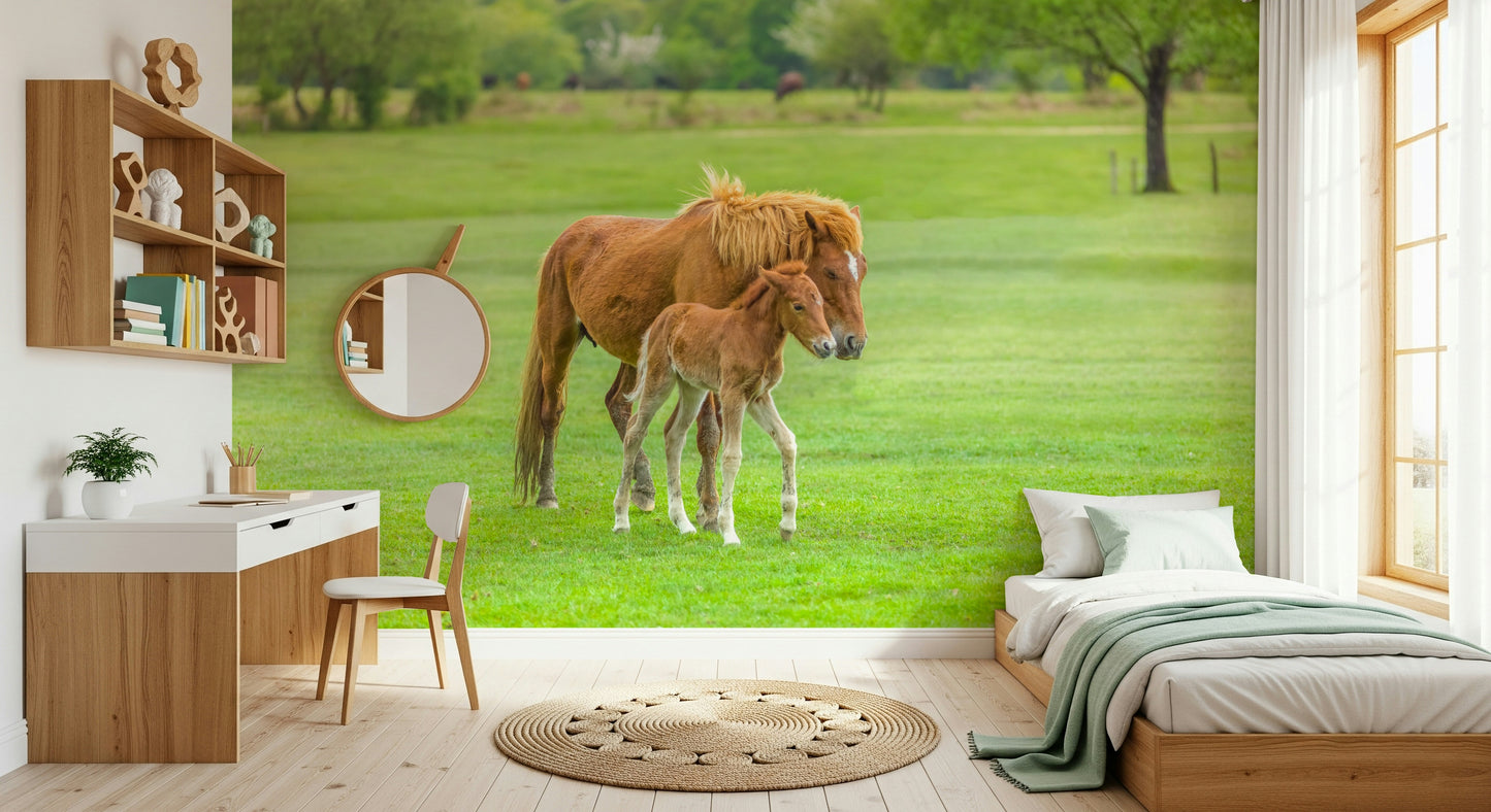 Foal's First Steps Wall Mural
