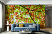 Harmonious color palette.

