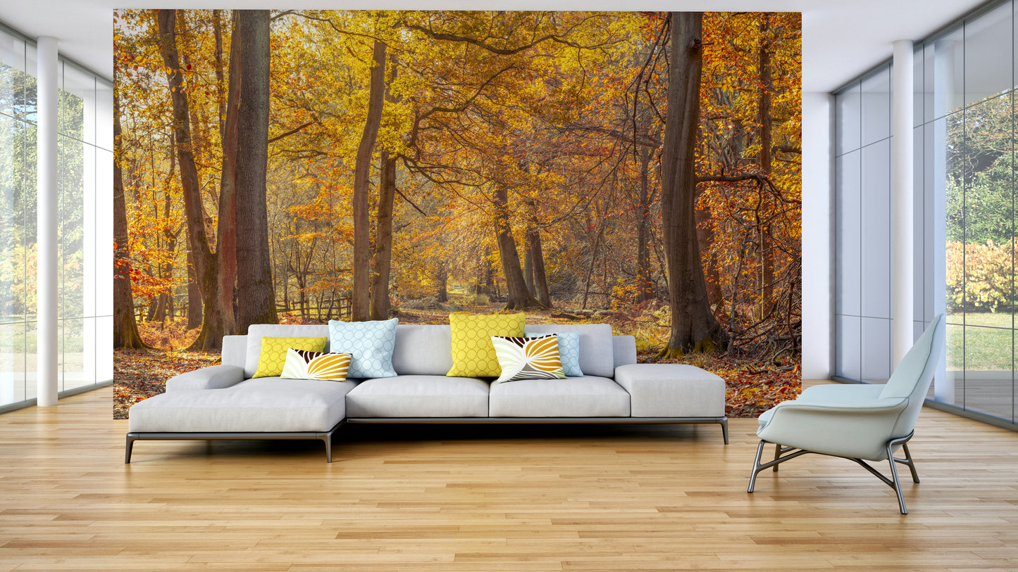 Focus on autumnal colors and natural light.

