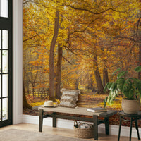 Vibrant and comforting aesthetic.

