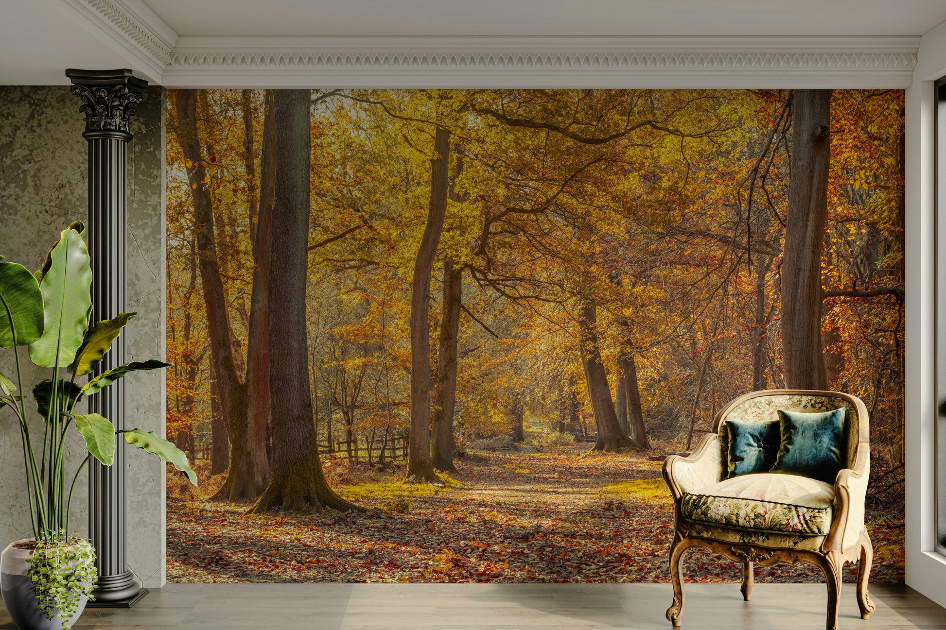 Serene woodland floor.

