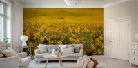 A vibrant and expansive wall mural.
