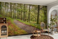 A wall mural of a trail in an enchanted forest.

