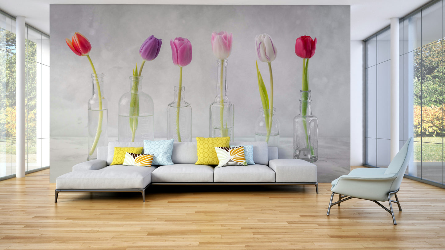 The image shows several tulips, each with a colorful bloom, arranged in separate glass vessels.

