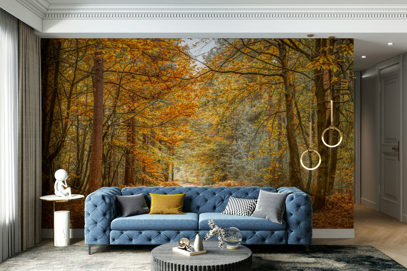 A photo-realistic wall mural of a serene woodland trail.

