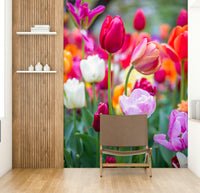 A close-up view of a pink and white tulip with a soft, peach-colored one next to it.

