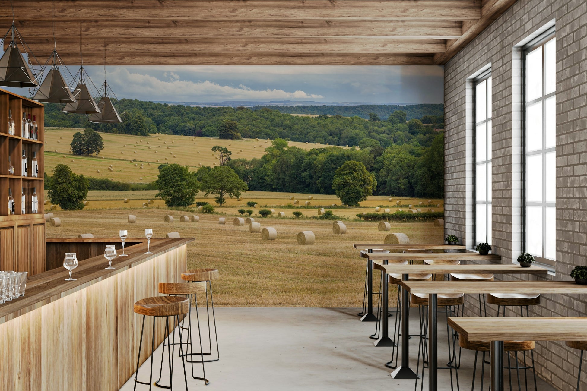 The composition is a wide-angle photograph.

