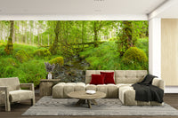 The image is a high-quality photograph.

