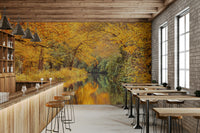 The mural gives a feeling of being in a quiet forest.

