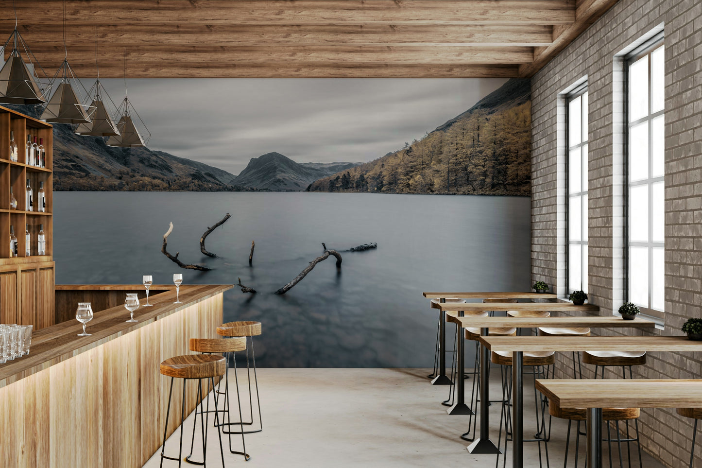 The image is a high-quality photograph.

