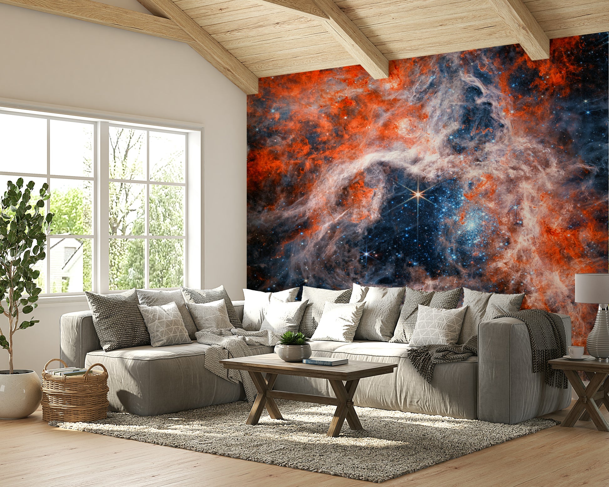 The image has a soft, painted look.

