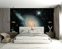 The image has a soft, painted look.

