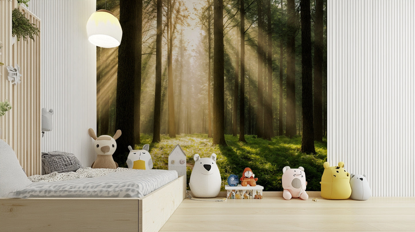 Soft, golden sunlight filters down through the leaves and branches.
