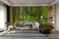 A close-up view shows the fine details of the tree trunks and foliage.

