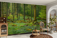 The image shows a full wall with many tall trees in a lush forest.

