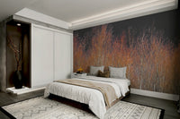 Tall trees with sparse leaves create a canopy against the sky.
