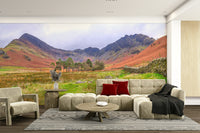 Wall mural of a peaceful Lake District landscape.

