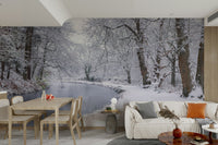 The mural shows a peaceful European street.

