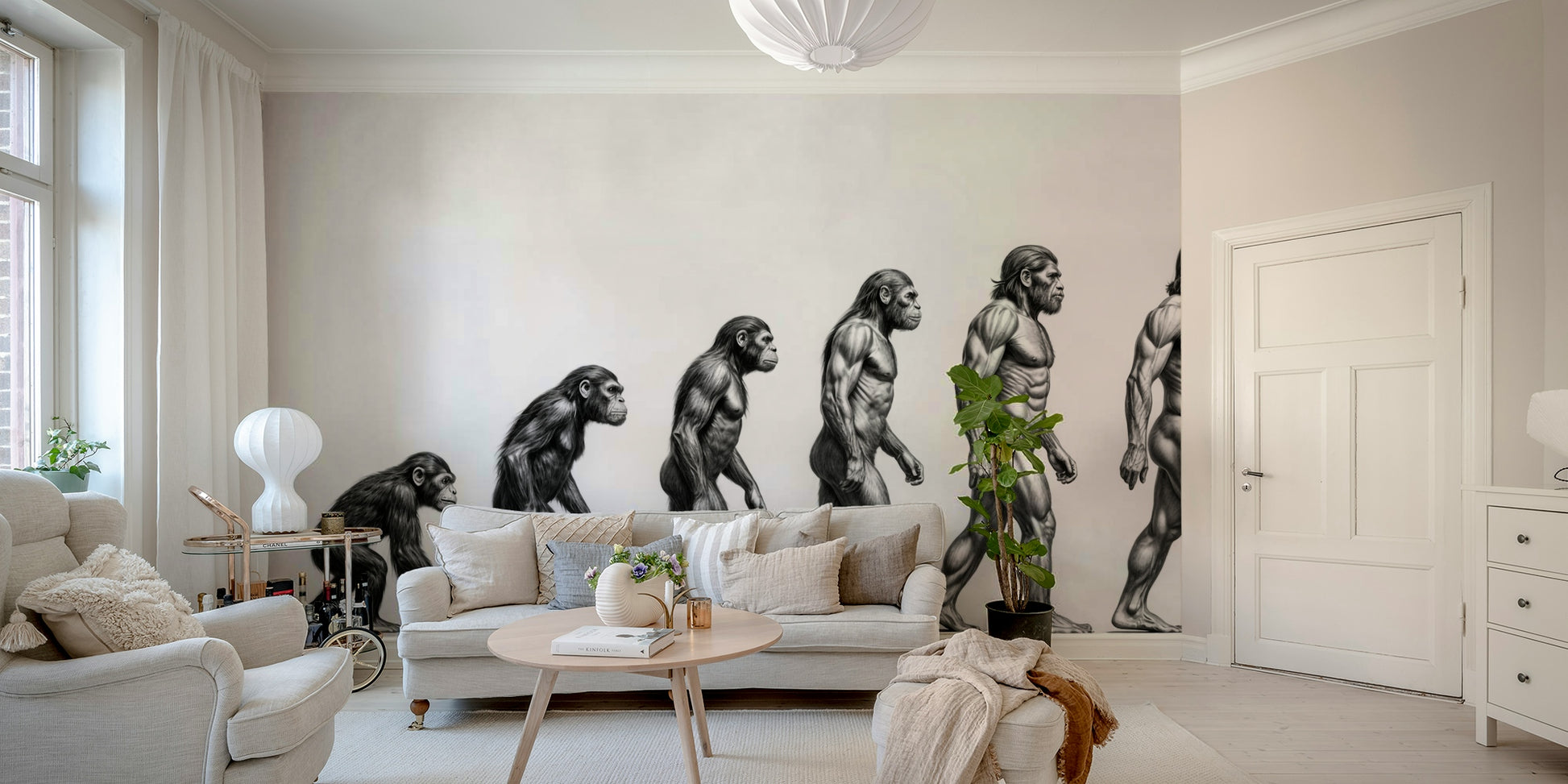 An educational wall mural illustrating human evolution.

