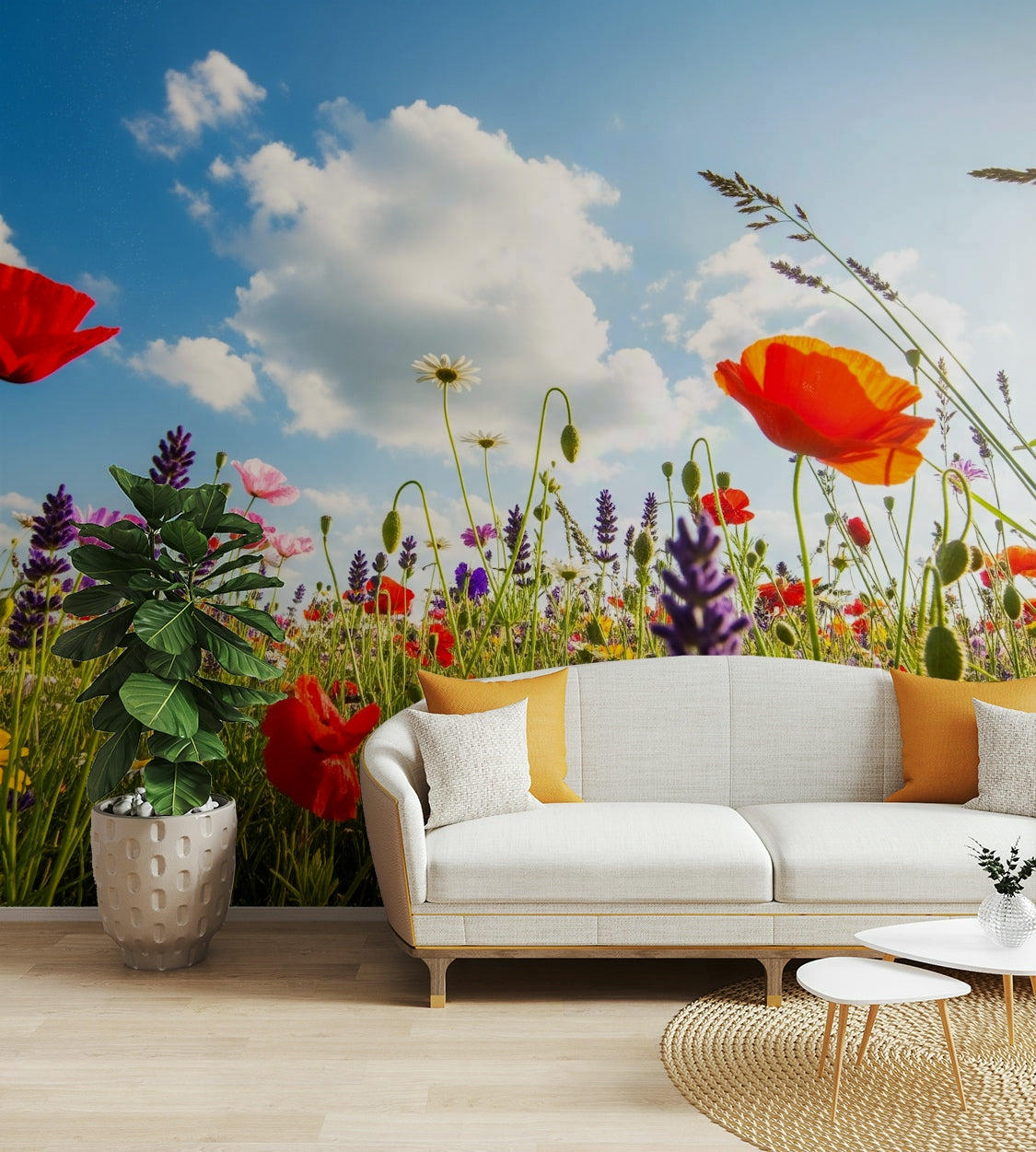 View of friendly shapes and a playful pattern

