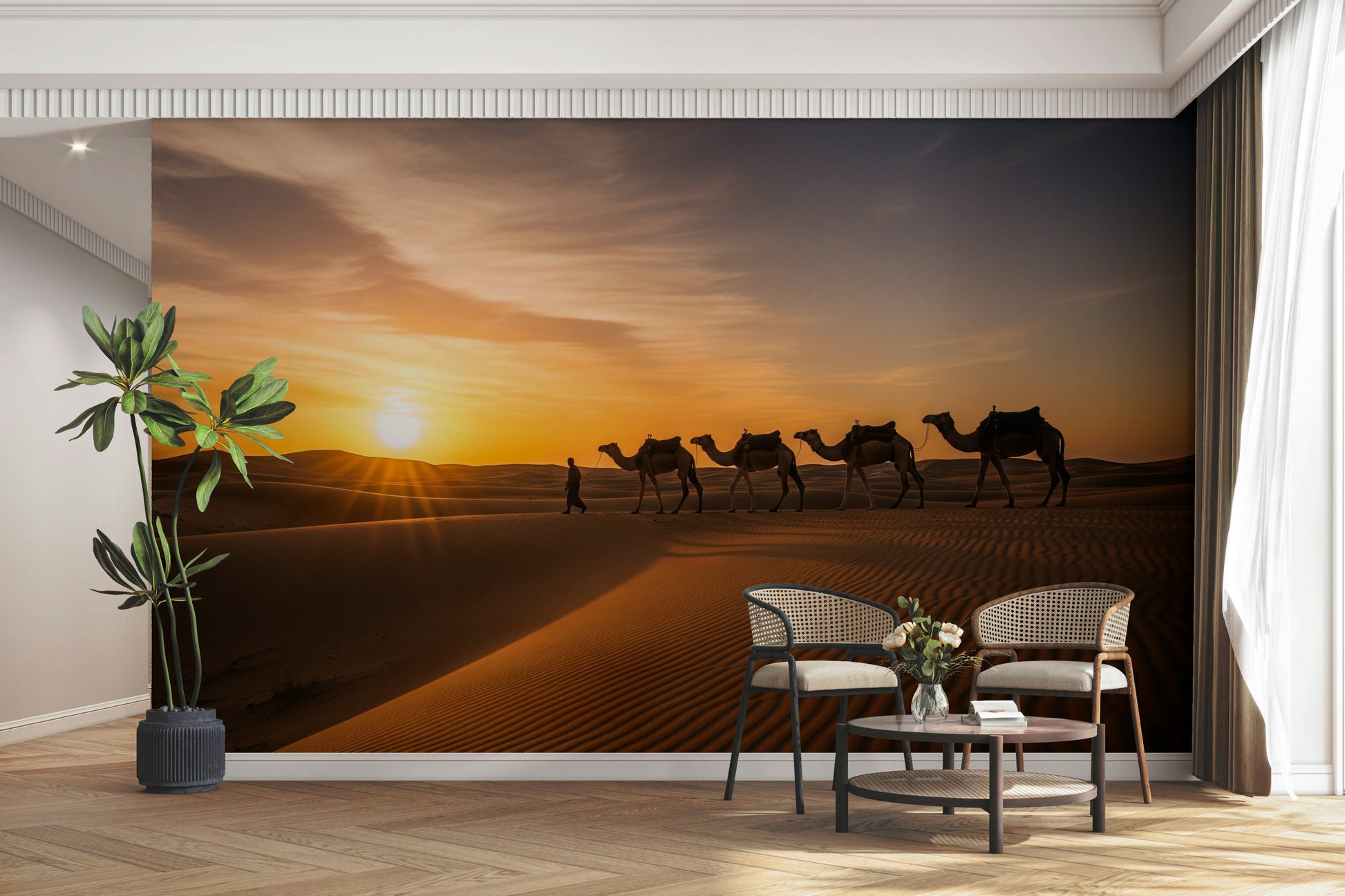 Sunset over the desert, warm colors

