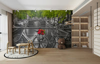 Quintessential Amsterdam bike mural


