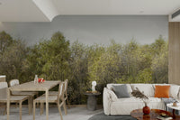 Birch Grove beautiful wallpaper for walls

