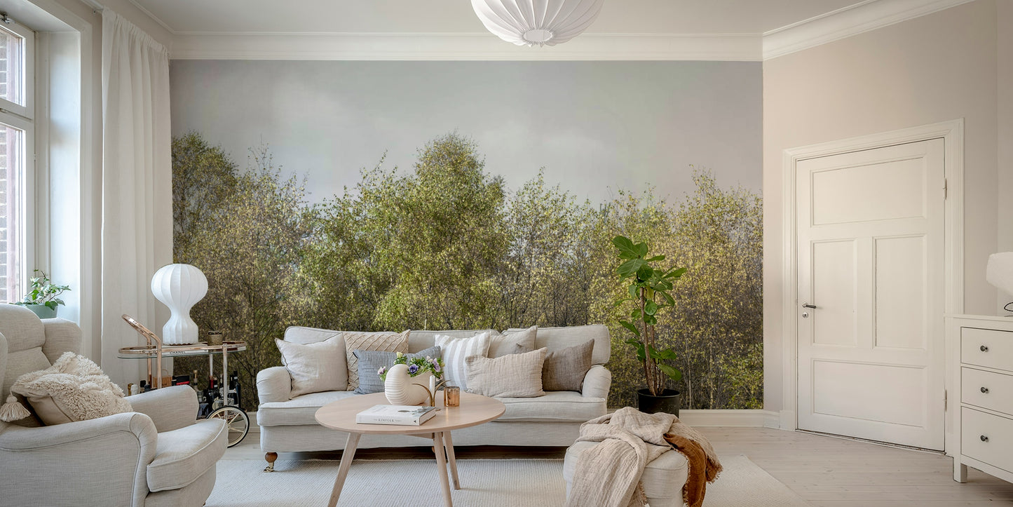 Birch Grove trees wall covering

