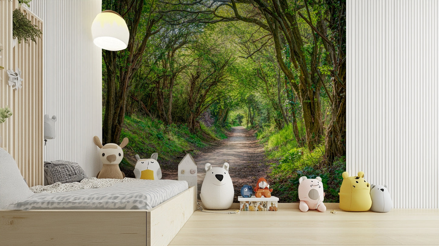 A detail shot of the sunbeams filtering through the trees.

