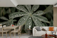 A minimalist interior with the lupine-themed wallpaper.