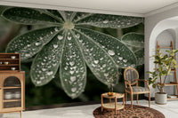 The wallpaper is used as a feature wall in a bedroom.