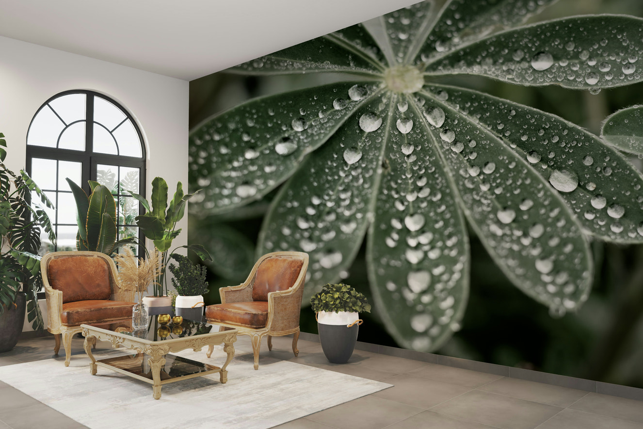 A beautiful serene field of blue lupine flowers.