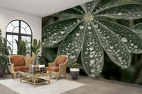 A beautiful serene field of blue lupine flowers.