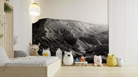 A beautiful desert canyon wallpaper mural of Nahal Zin.


