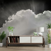 A peaceful vast sky mural on decorative wallpaper.

