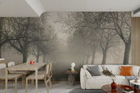A beautiful wide-angle wall mural of a foggy wood.

