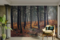 A contemplative forest path wallpaper mural for a feature wall.

