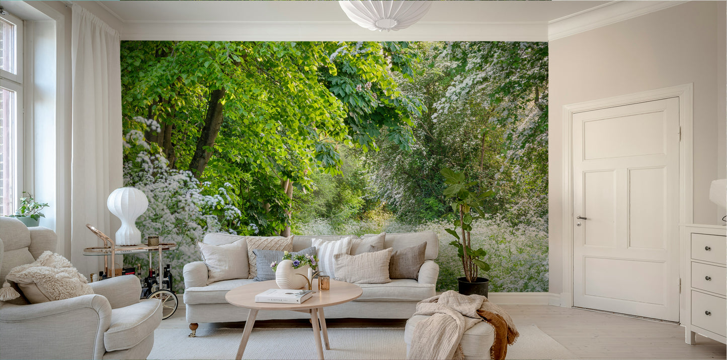 Path of Discovery Wall Mural