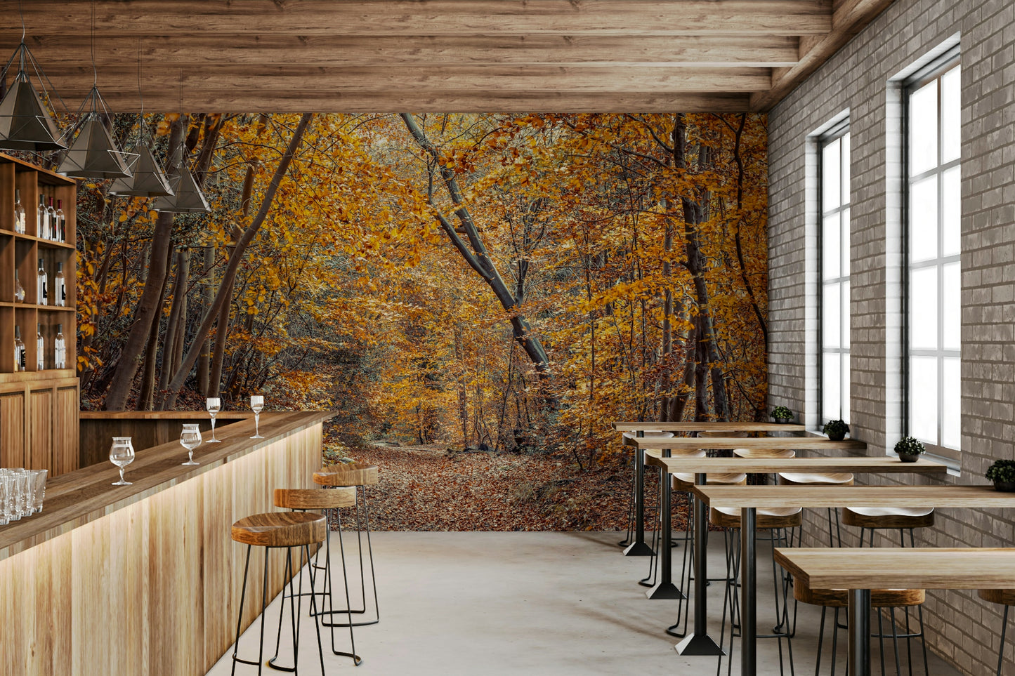 Scenic Woodland Path in Fall Wall Mural