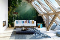 A beautiful tropical forest wall mural for a living room.

