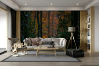 A calming serene tree wallpaper mural that defines a space.

