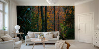 A contemplative forest scene wallpaper mural for a feature wall.

