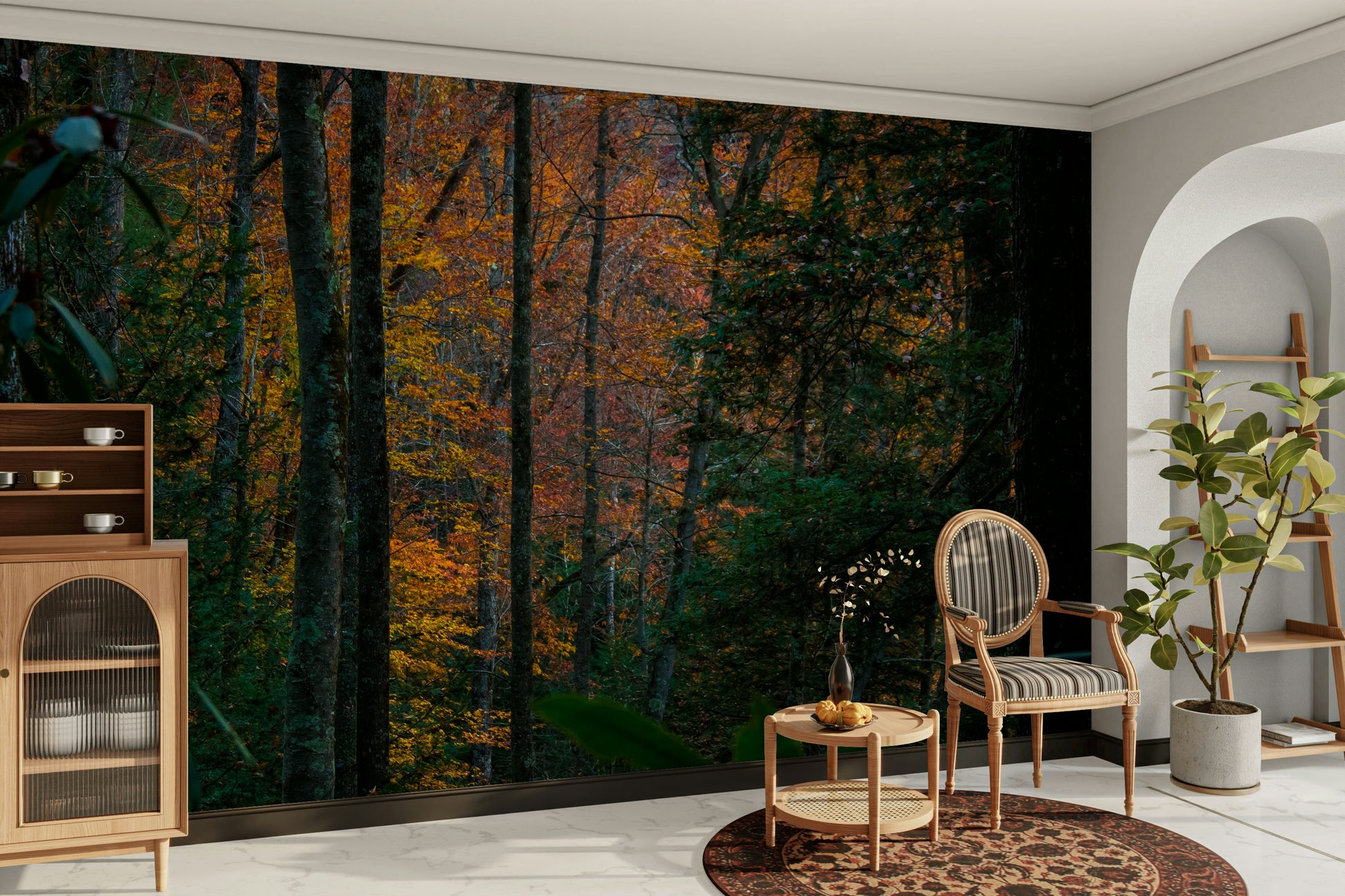 A beautiful serene forest wallpaper mural with tall trees.


