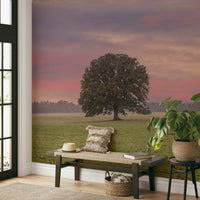 A beautiful serene field wallpaper mural under moonlight.

