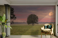 A contemplative open field wallpaper mural for a feature wall.

