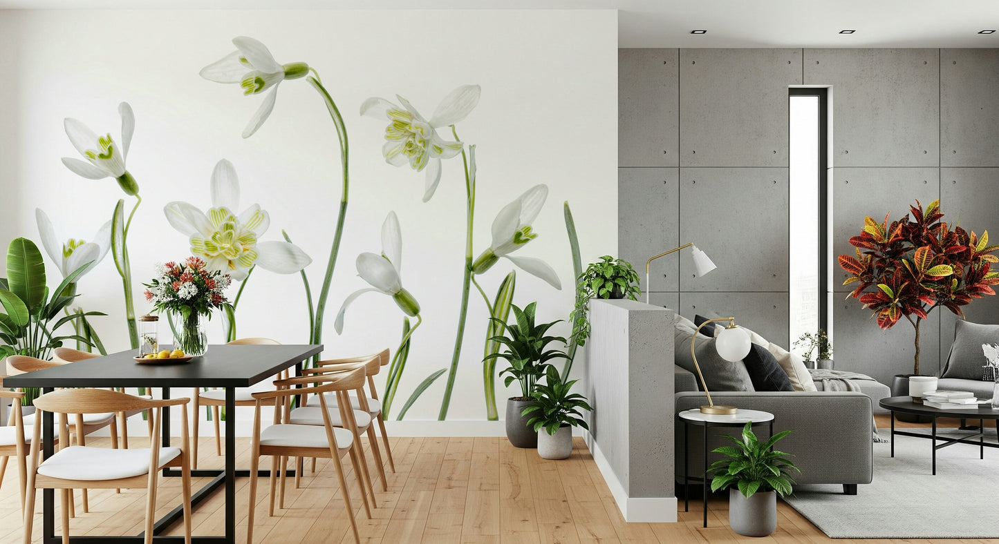 A classic floral wallpaper for walls with a white theme.

