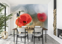 A contemplative flower field wallpaper mural for a feature wall.

