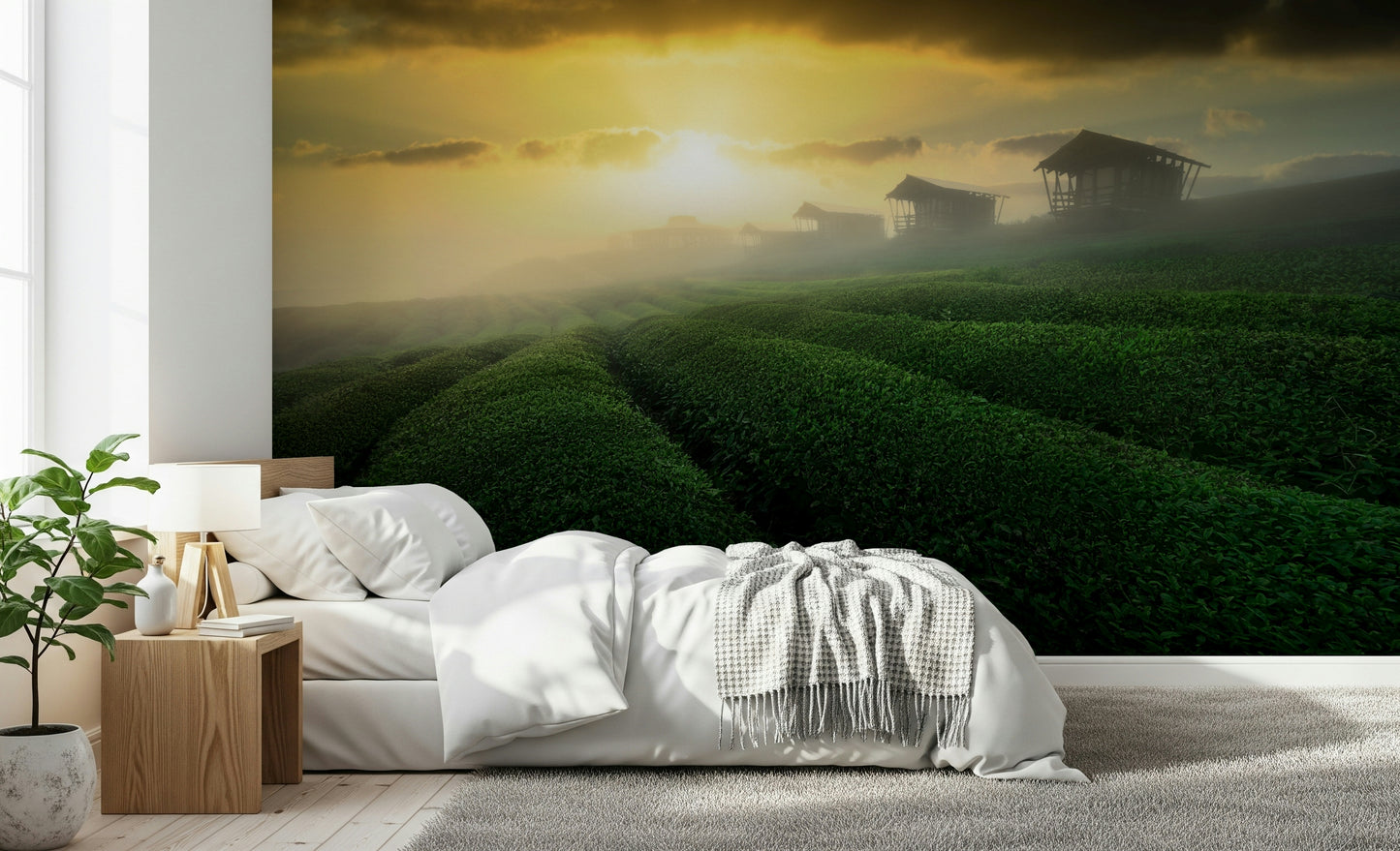 Golden Mist Tea Estate Wall Mural -2353176